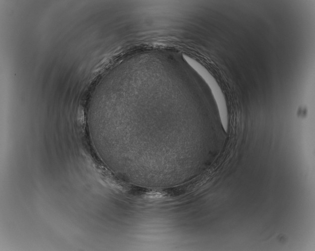 X0000113630704200910021852