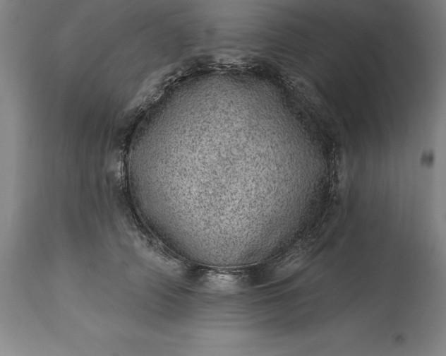 X0000113630706200910021852