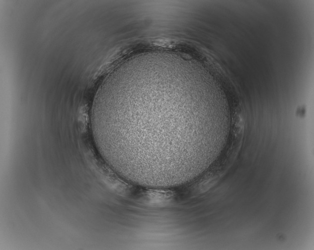X0000113630707200910021852