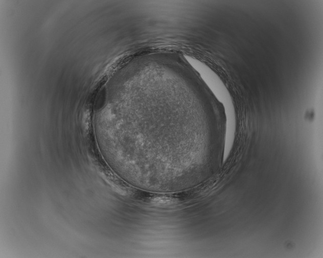 X0000113630708200910021852