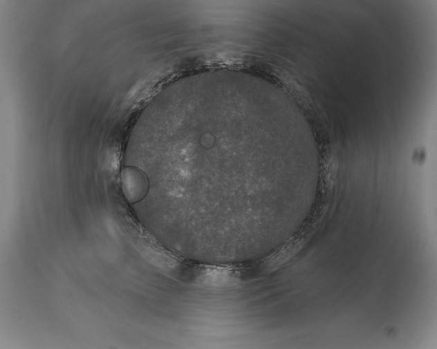 X0000113630709200910021852