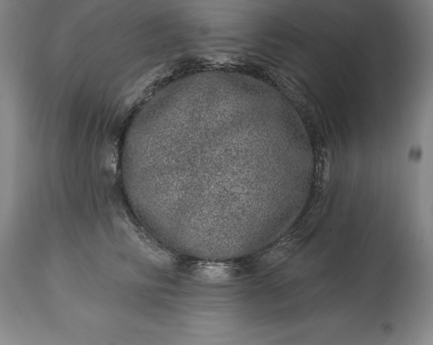 X0000113630710200910021852