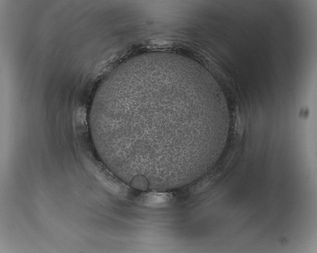 X0000113630711200910021852