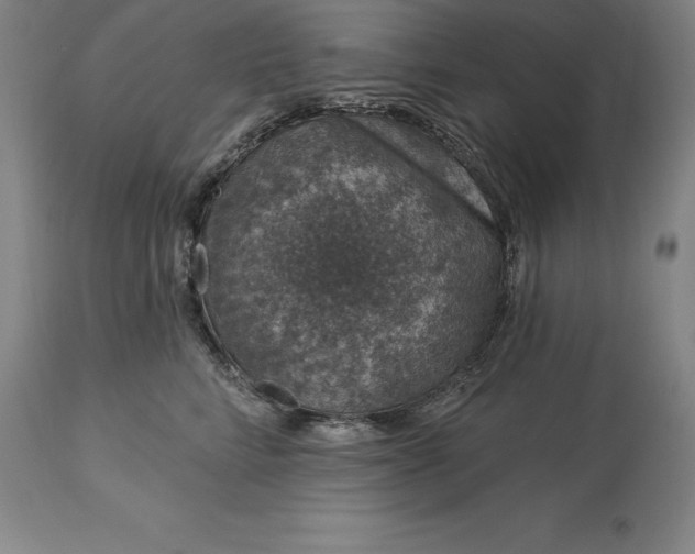 X0000113630712200910021852