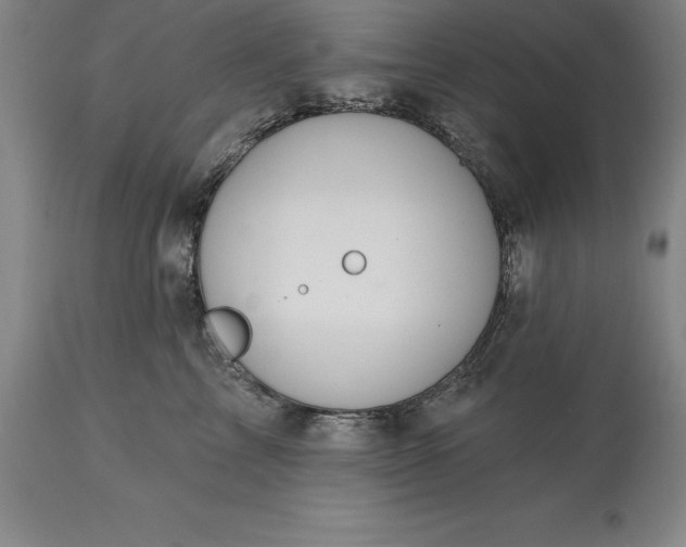 X0000113630713200910021852