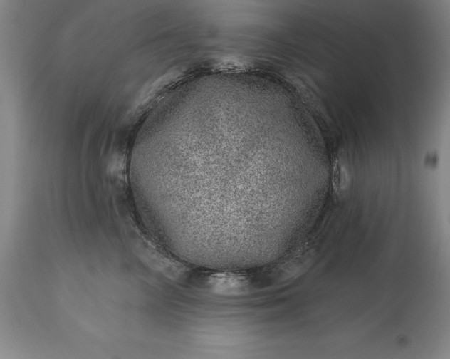 X0000113630714200910021852