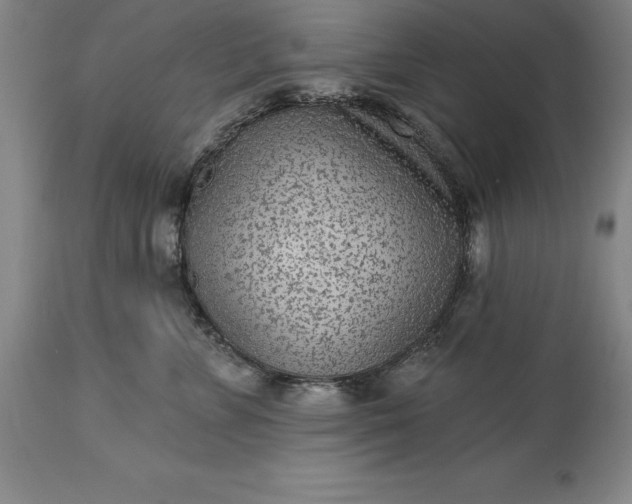 X0000113630715200910021852