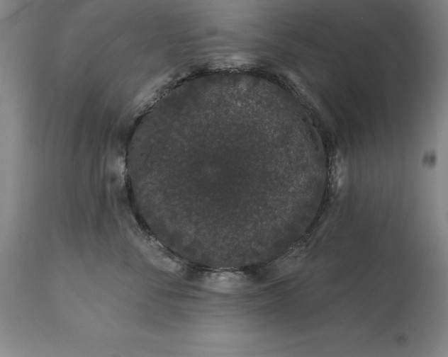 X0000113630716200910021852