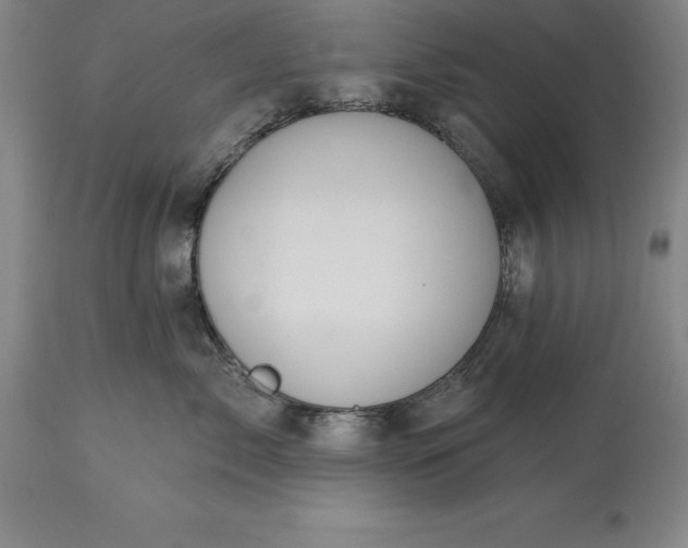 X0000113630717200910021852