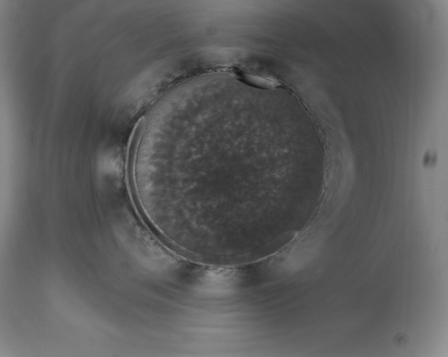 X0000113630720200910021852