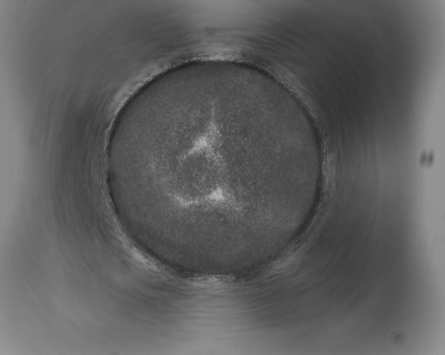 X0000113630721200910021851