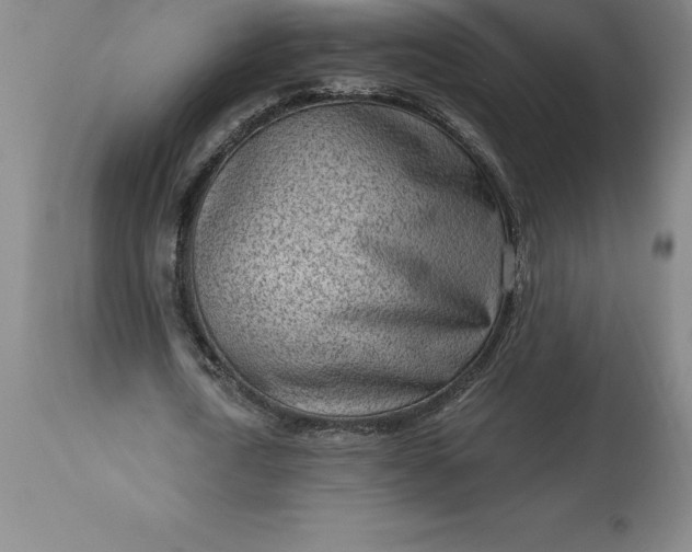 X0000113630722200910021851