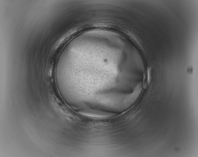 X0000113630723200910021851