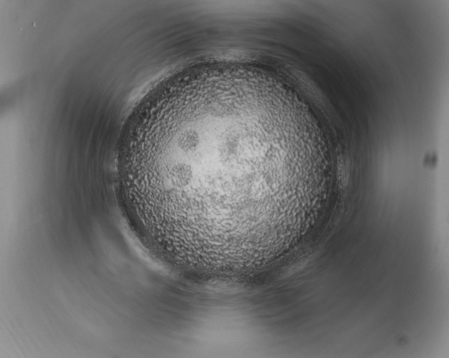 X0000113630725200910021851