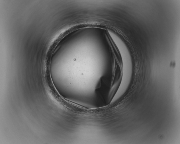 X0000113630726200910021851