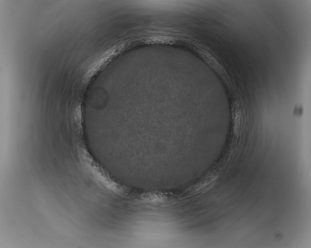 X0000113630729200910021851