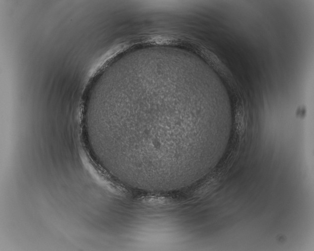 X0000113630730200910021851
