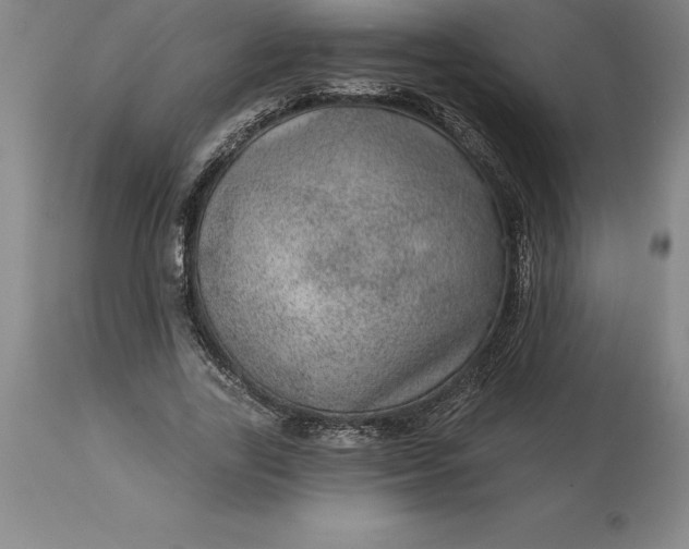X0000113630731200910021851