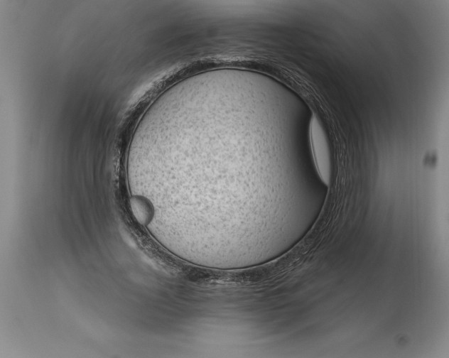 X0000113630732200910021851