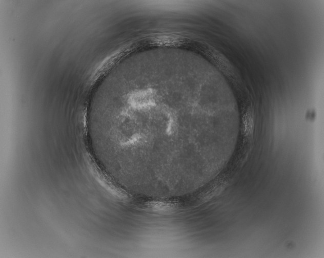 X0000113630733200910021851