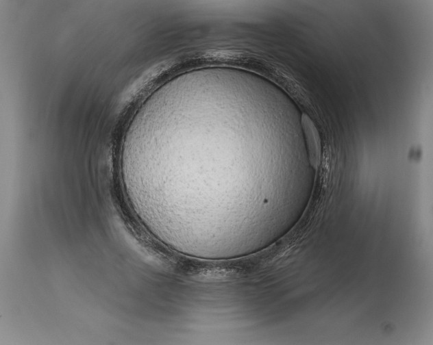 X0000113630734200910021851