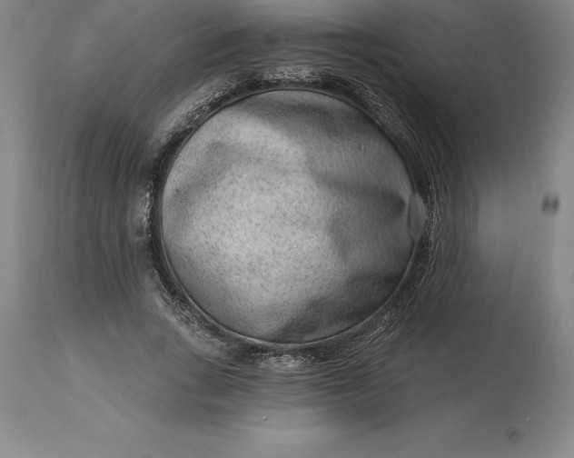 X0000113630735200910021851