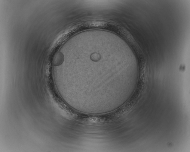 X0000113630736200910021851