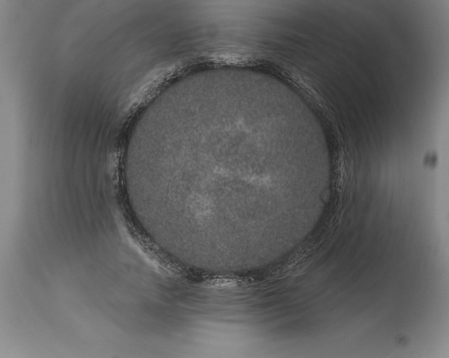 X0000113630738200910021851