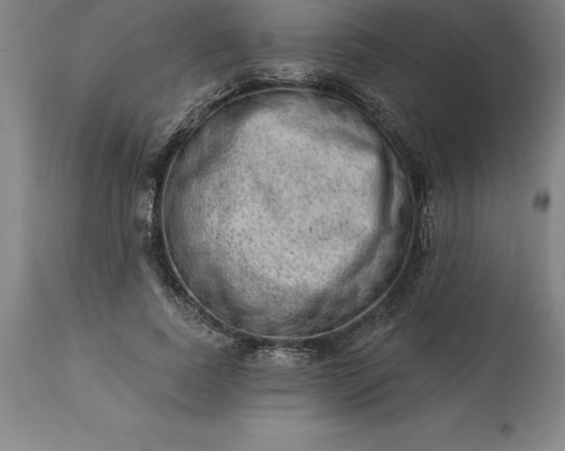 X0000113630739200910021851
