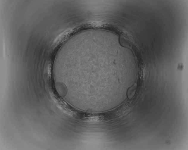 X0000113630740200910021851