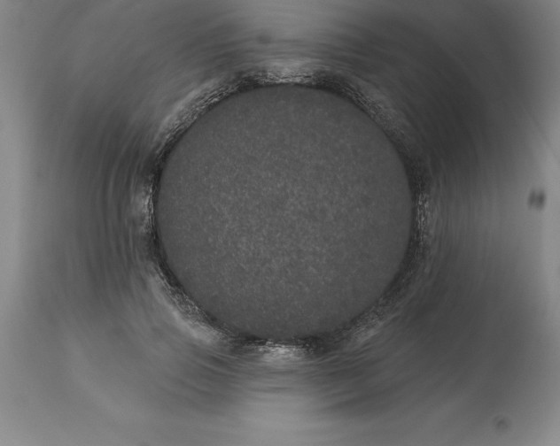 X0000113630741200910021851