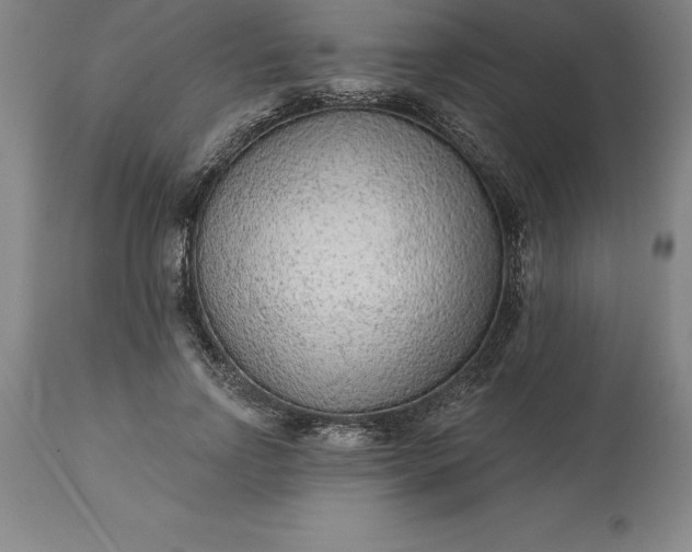 X0000113630742200910021851