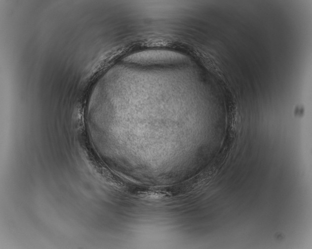 X0000113630743200910021851