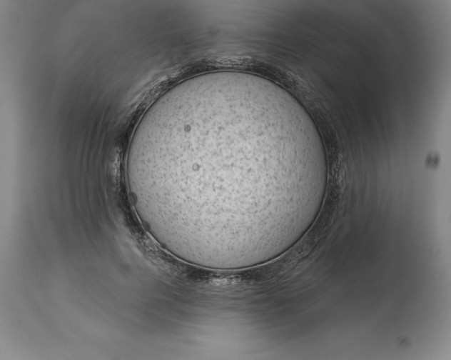 X0000113630744200910021851