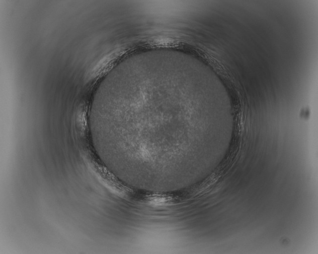 X0000113630746200910021851