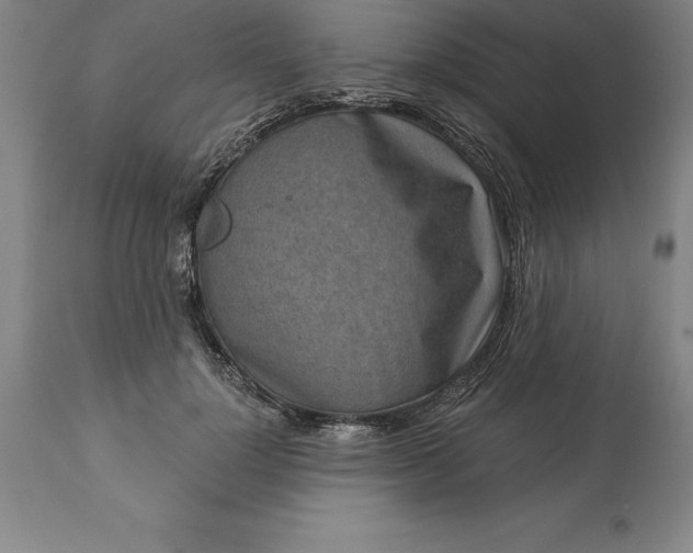 X0000113630748200910021851