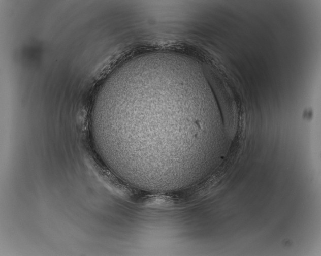 X0000113630750200910021851