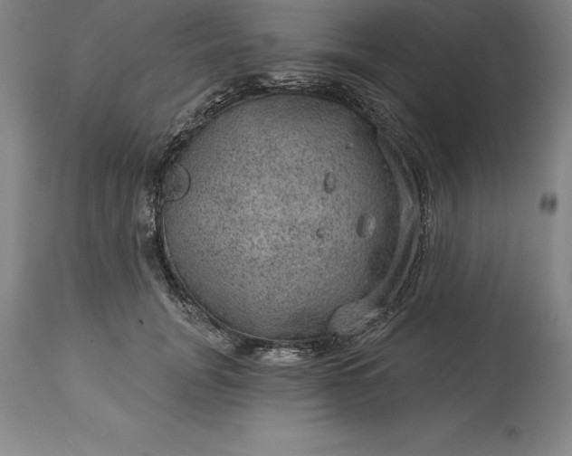 X0000113630751200910021851