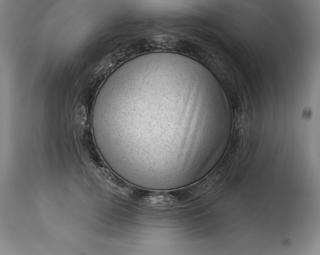 X0000113630752200910021851