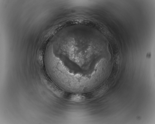 X0000113630754200910021851