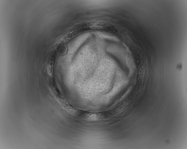X0000113630755200910021852