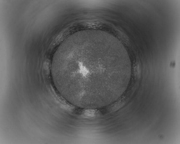 X0000113630757200910021852