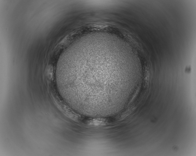 X0000113630758200910021852