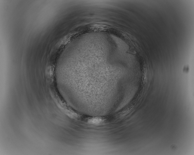 X0000113630759200910021852