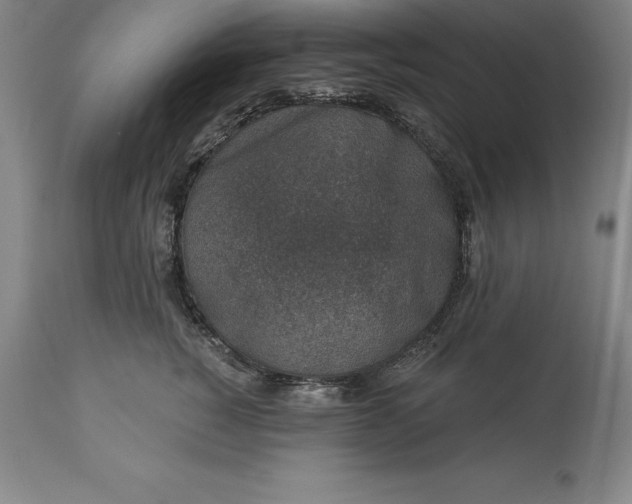 X0000113630760200910021852