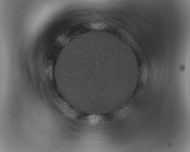 X0000113630762200910021852