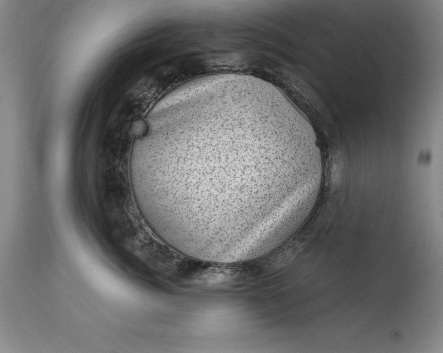 X0000113630764200910021852