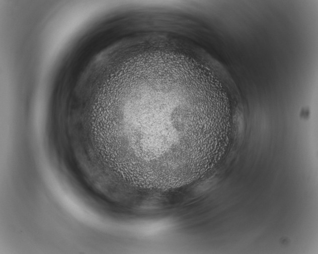 X0000113630765200910021852