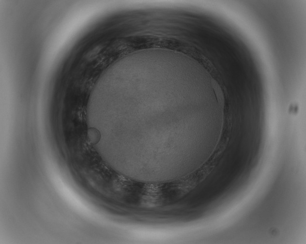 X0000113630766200910021852