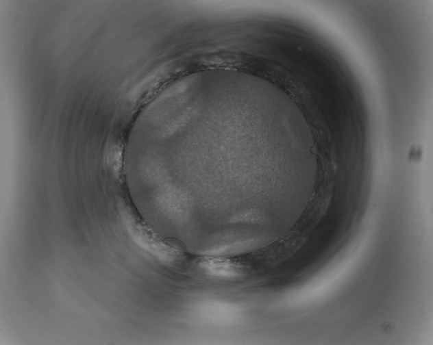 X0000113630767200910021852